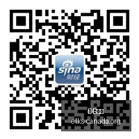 电竞战队新,阵容亮相,版本策略成,DB体育,DB体育官网,DB体育app,DB体育直播